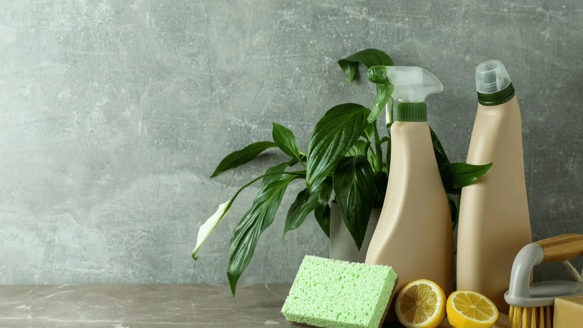 Greenwashing, Sustainability, Saving the Planet, Eco-Friendly Marketing, Corporate Responsibility, Environmental Trends, Green Economy